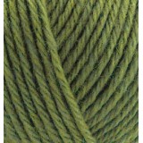 Alize Wooltime, оливковий 139