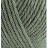 Alize Wooltime, шавлія 372