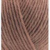 Alize Wooltime, лесной орех 466