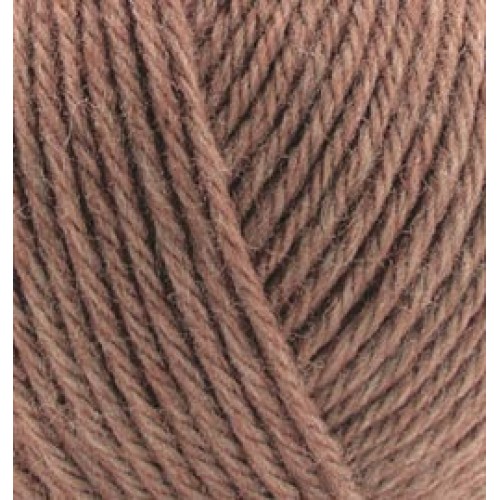 Alize Wooltime, лесной орех 466