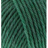 Alize Wooltime, зелений 532
