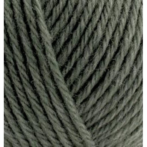 Alize Wooltime, темная хвоя 546