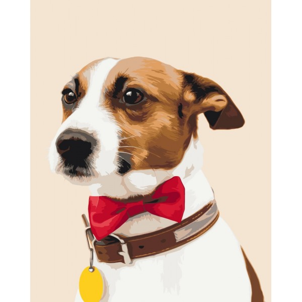 Картина по номерам Собачка чемпион