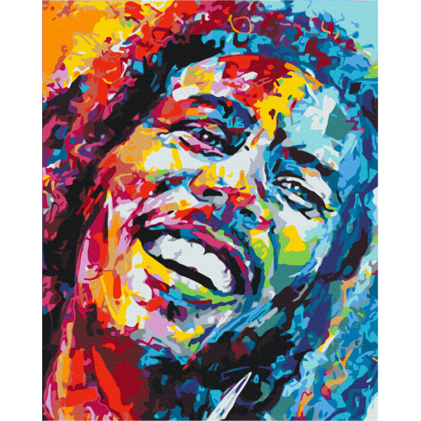 Картина за номерами Веселковий Марлі Картина за номерами Веселковий Марлі