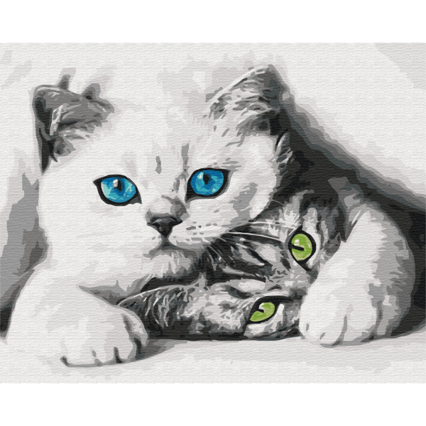 Картина за номерами Муркотики BS51695