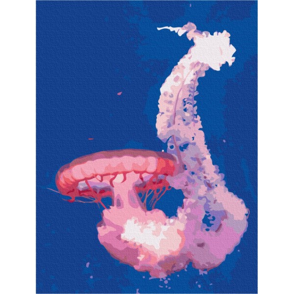Картина за номерами Медуза в польоті BS52746