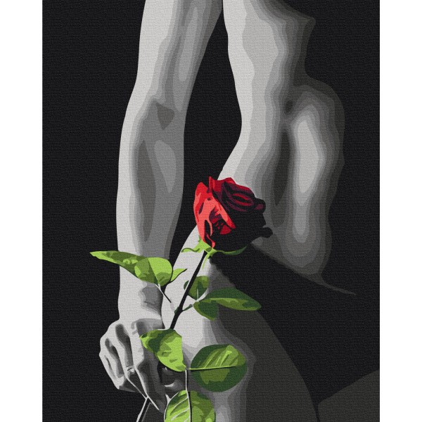 Картина за номерами Елегантний акцент BS53919