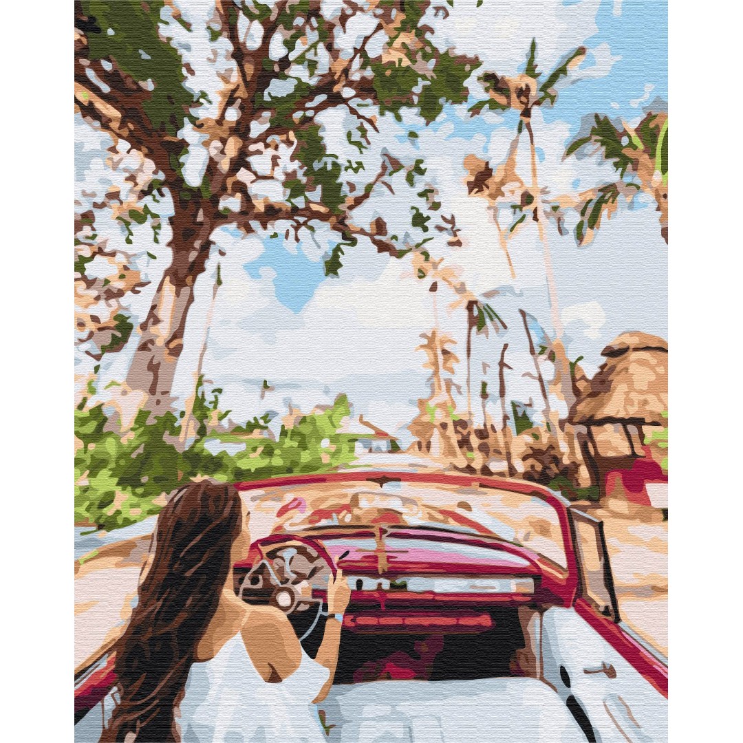 Картина за номерами Вулицями Куби BS24882L Картина за номерами Вулицями Куби BS24882L