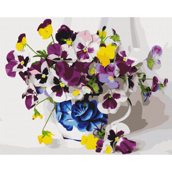 Фіалки Фіалки