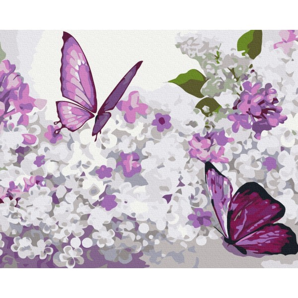 Бузкові метелики Бузкові метелики