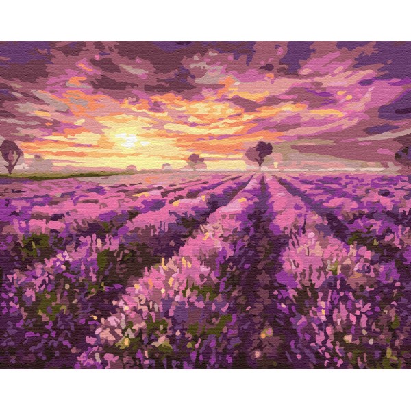 Картина за номерами Лавандовий захід сонця BS3230