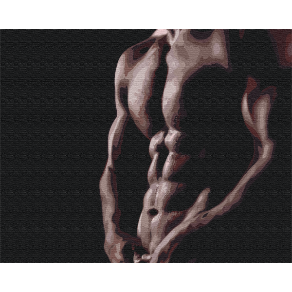 Картина по номерам Обнаженный мужчина BS30480