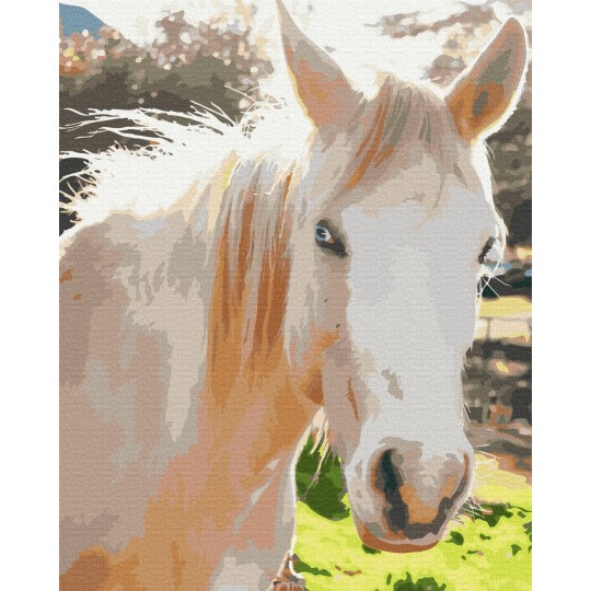 Картина за номерами Білий кінь BS52518
