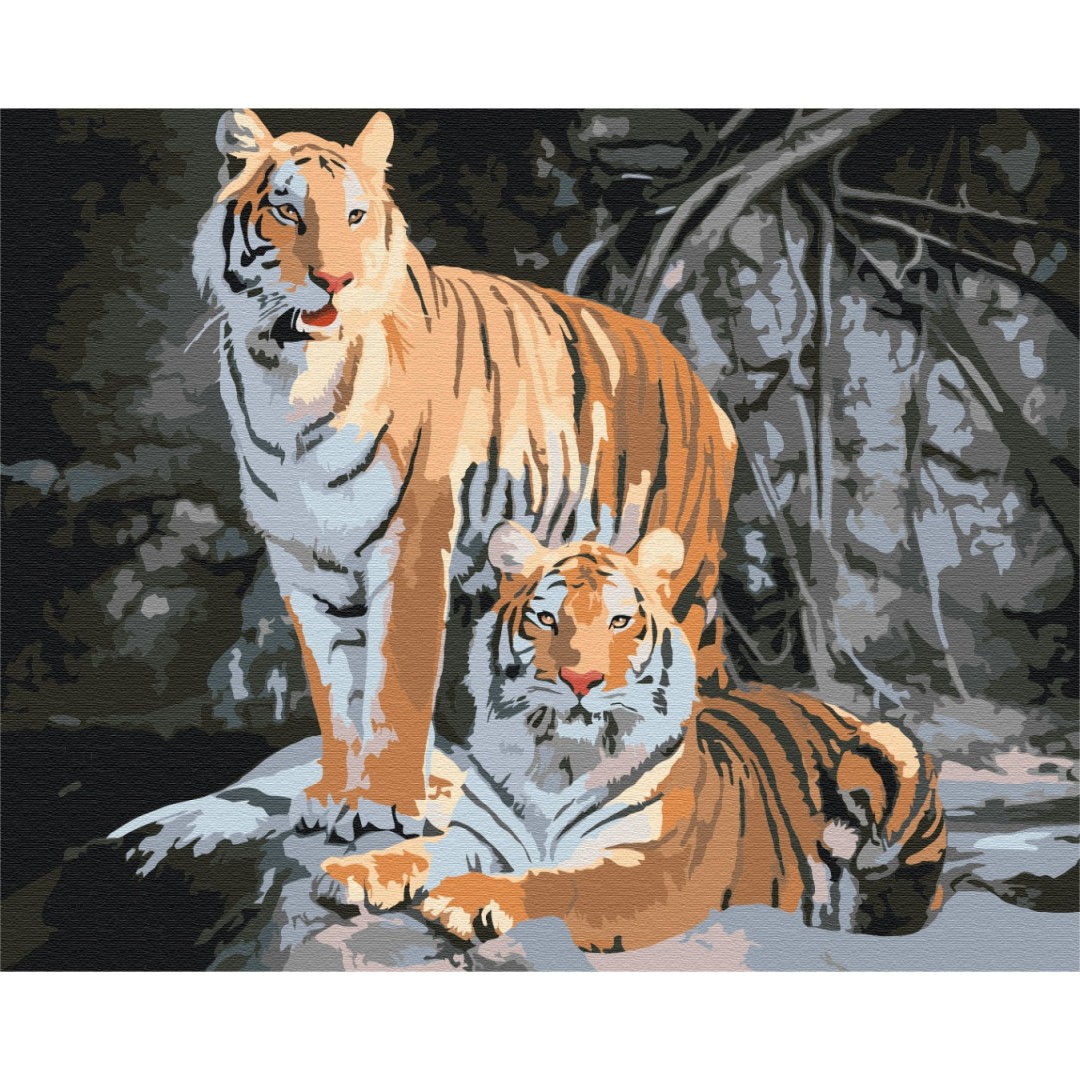Картина за номерами Дикі тигри BS52793