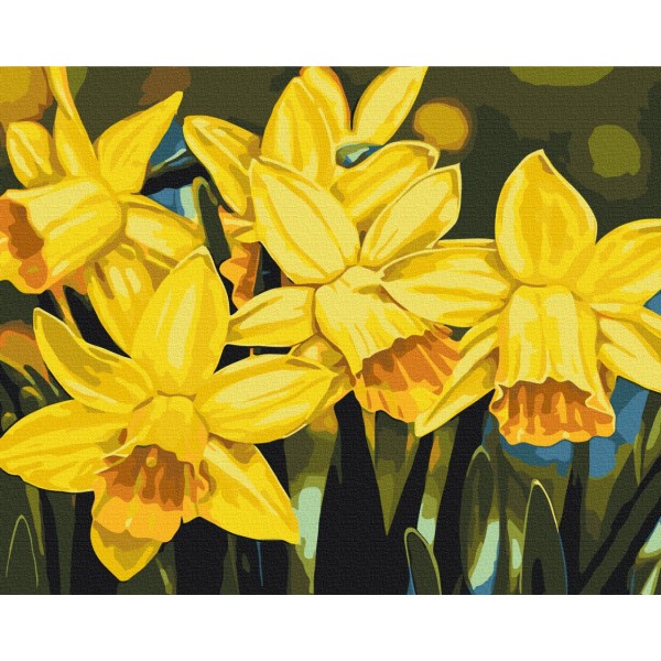 Картина за номерами Нарциси © Anastasiia Osmolovska BS53724