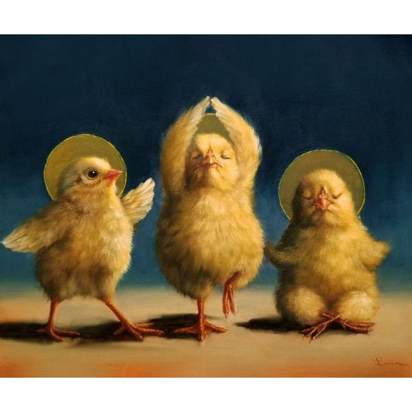 Духовні курчата ©Lucia Heffernan CN5360L