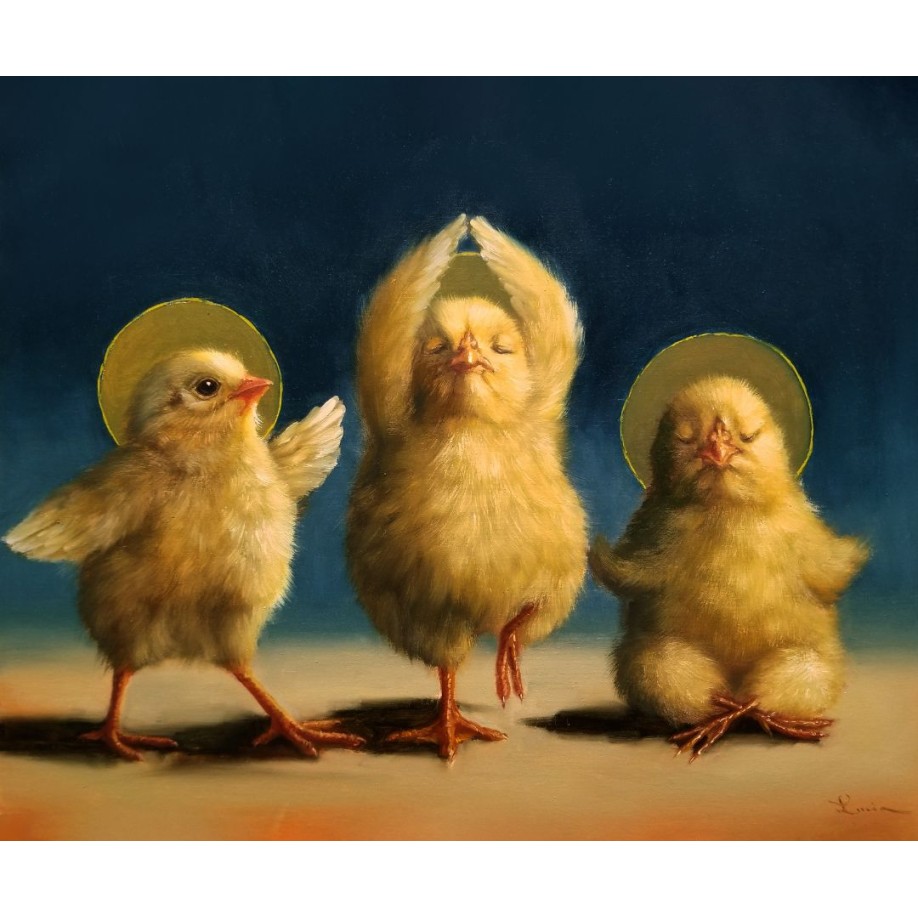 Духовні курчата ©Lucia Heffernan CN5360L