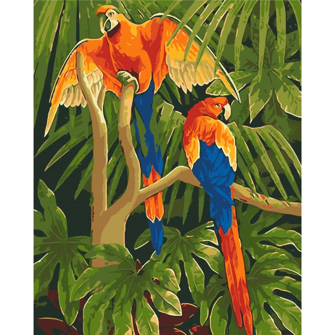 Тропічні птахи