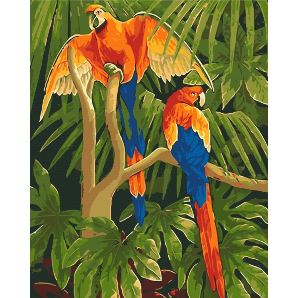 Тропічні птахи