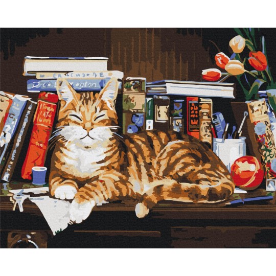 Кіт на книжковій полиці