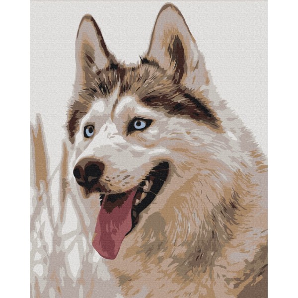 Сіроманець