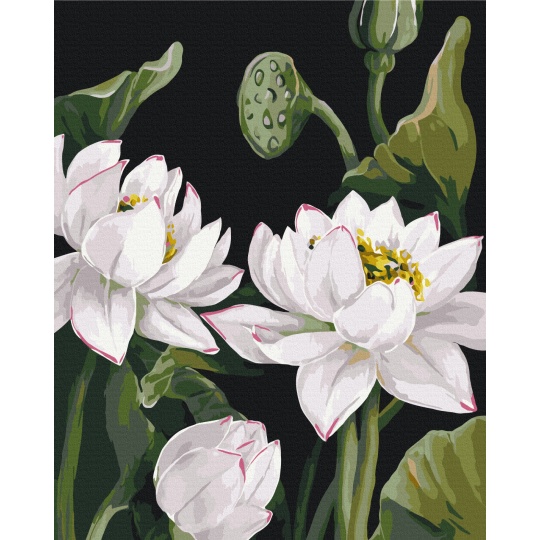 Розквіт натхнення 1