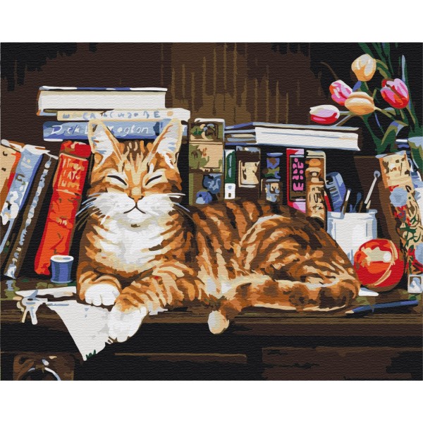 Картина по номерам Кот на книжной полке BS4142