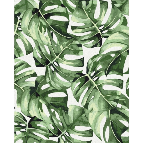 Картина за номерами Екзотична монстера BS53697