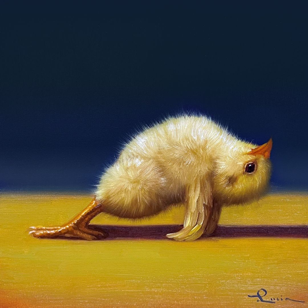 Йога курочка планка в гору ©Lucia Heffernan CN53298M