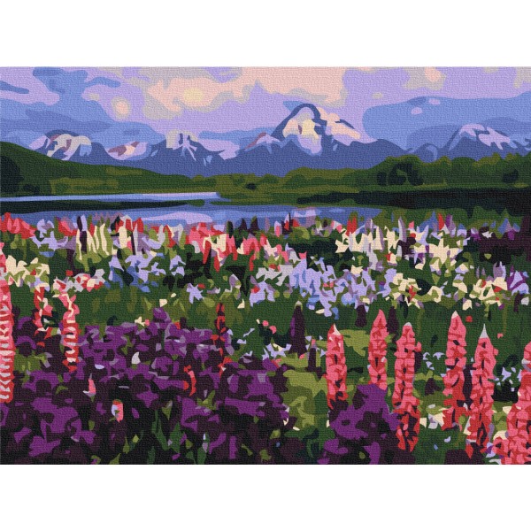 Картина за номерами Долина польових квітів RBS21019