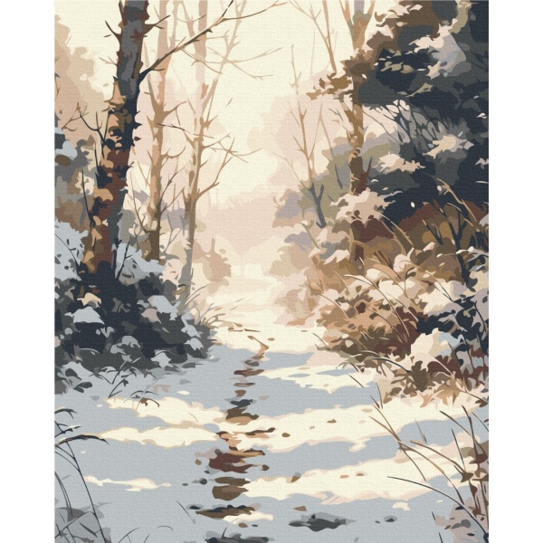 Картина за номерами Засніжена доріжка BS53836