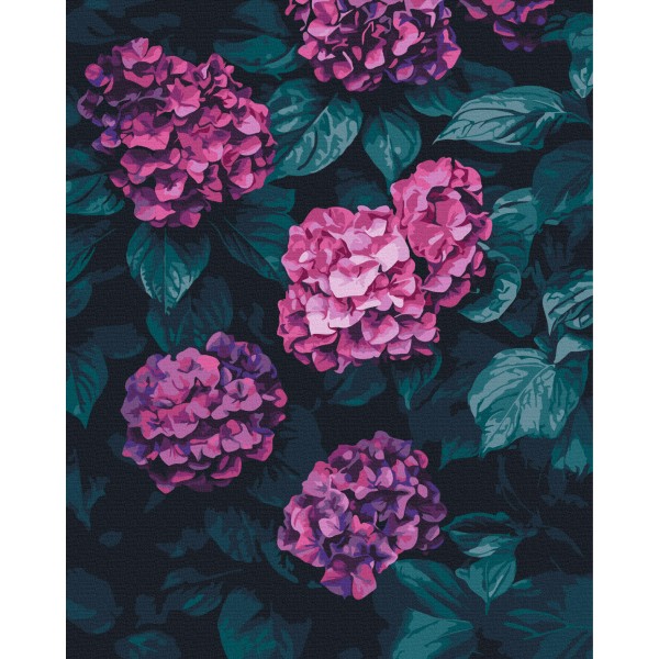 Казкова гортензія Казкова гортензія