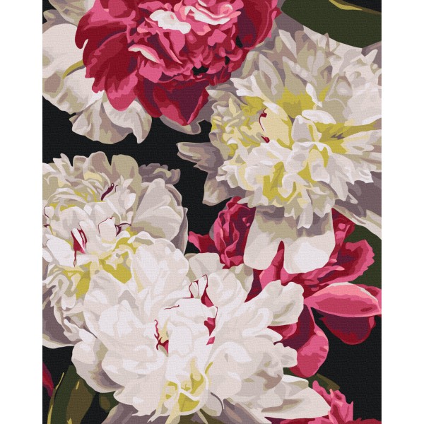 У тіні світла © Анастасія Альохіна