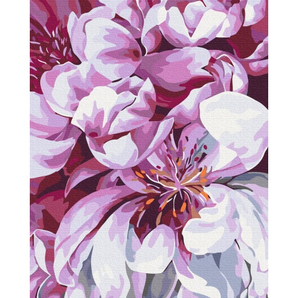 Картина за номерами Цвіт у макро зйомці BS51712