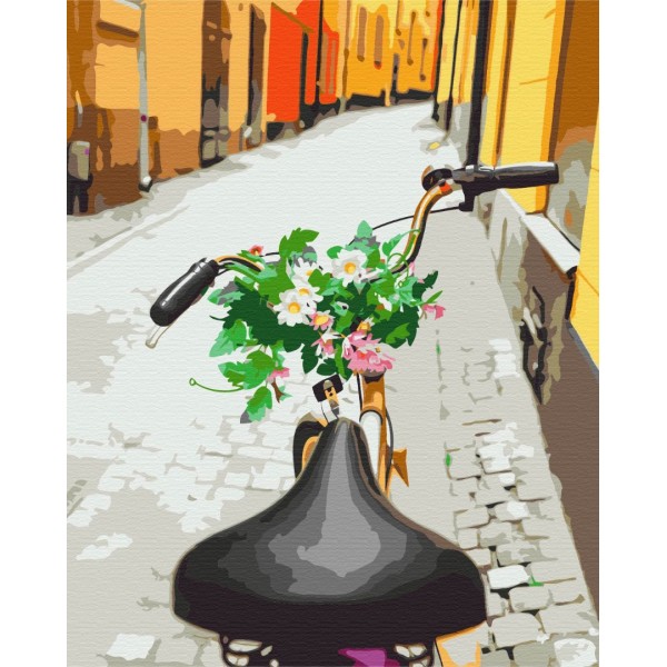 Картина за номерами Велопрогулянка старим містом BS52583