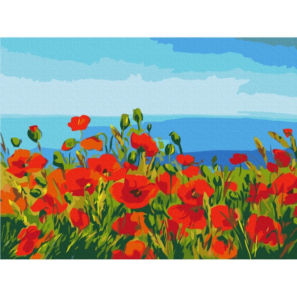Картина по номерам Поле маков. Клод Моне RBS1005