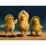 Духовні курчата ©Lucia Heffernan CN5360S