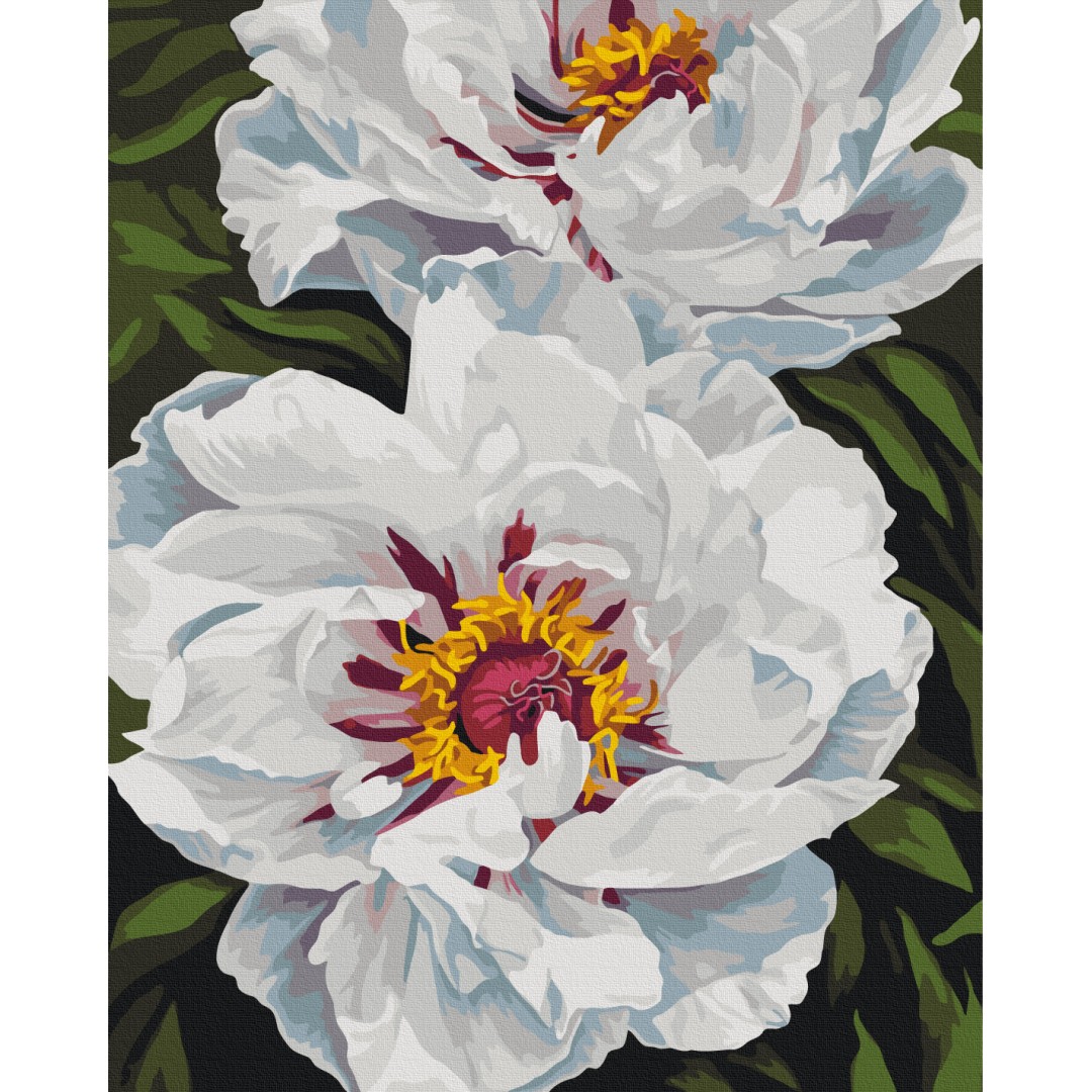 Біле сяйво © Анастасія Альохіна Біле сяйво © Анастасія Альохіна