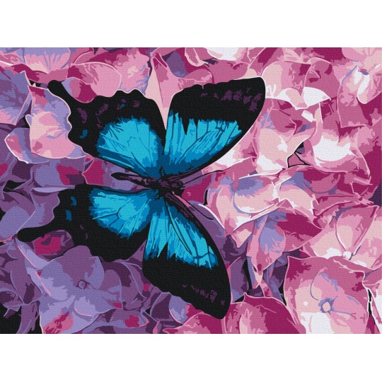 Метелик на квітах