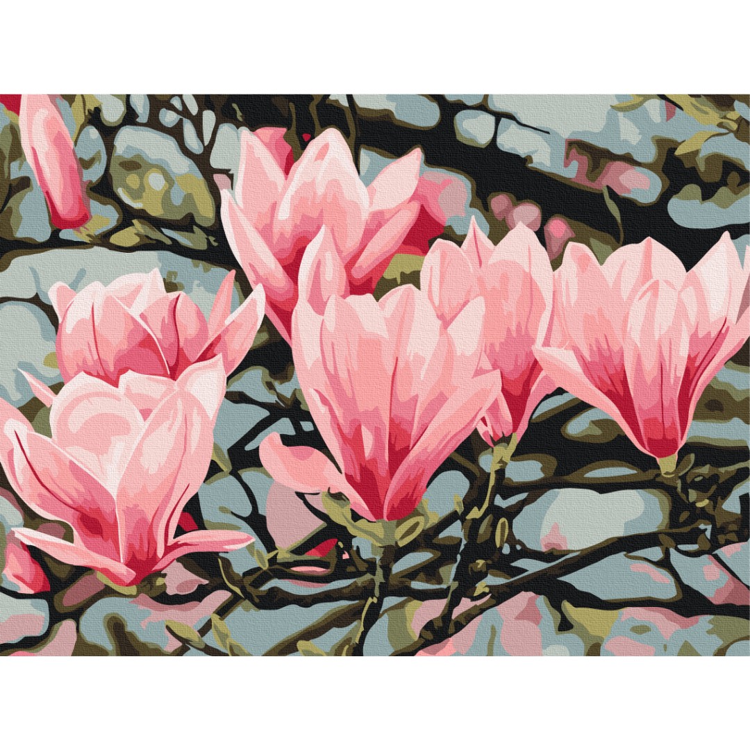 Квітка магнолії © Анастасія Осмоловська