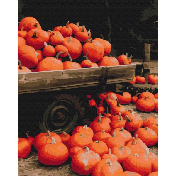 Картина по номерам Осенний пейзаж BS52369