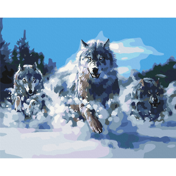 Картина по номерам Волки в движении BS52218