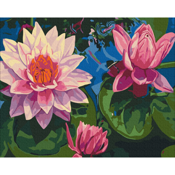 Картина за номерами Водяне латаття BS7282