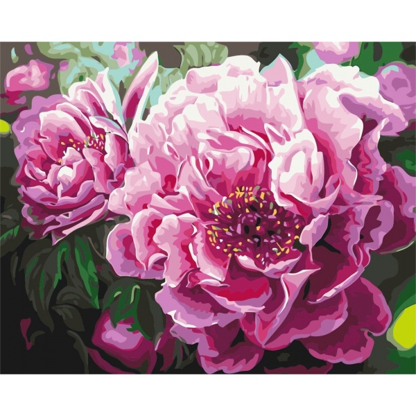 Преміум картина за номерами Розкішний піон PBS4667