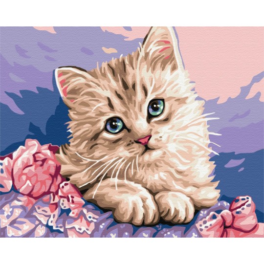 Преміум картина за номерами Синьооке кошеня PBS29696