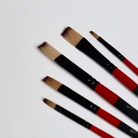 Набор профессиональных нейлоновых кисточек 5 шт. (с изогнутой формой) - BR524