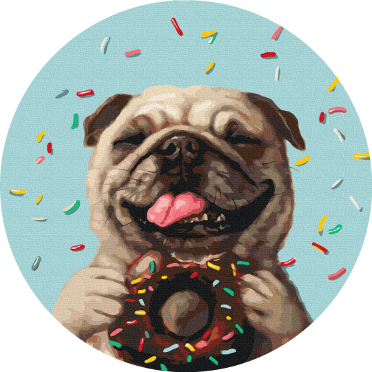 Pugalicious другий © Lucia Heffernan