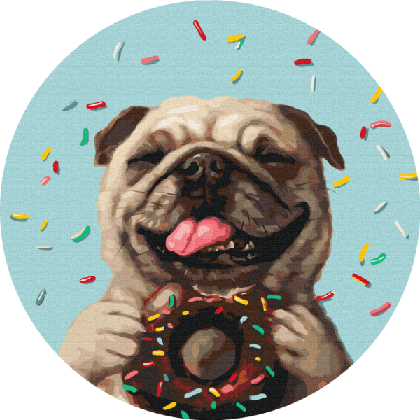 Pugalicious другий © Lucia Heffernan