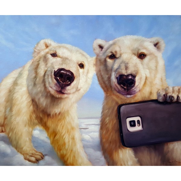 Полярограм ©Lucia Heffernan CN5361L