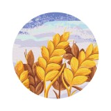 Картина за номерами Колоски © Didevych Kateryna RC00063M
